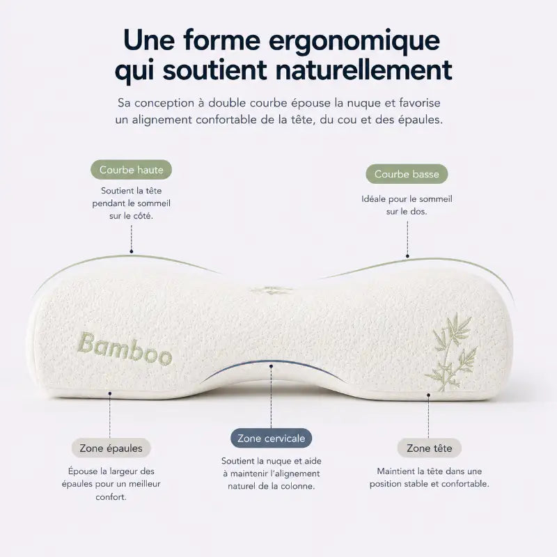 Oreiller ergonomique en mousse à mémoire de forme avec double courbure illustrant les zones de soutien de la tête, de la nuque et des épaules pour un meilleur alignement cervical